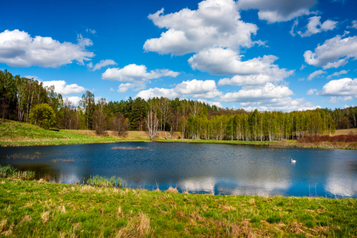 Forest lake. Beautiful lake in the forest, Masuria. Poland