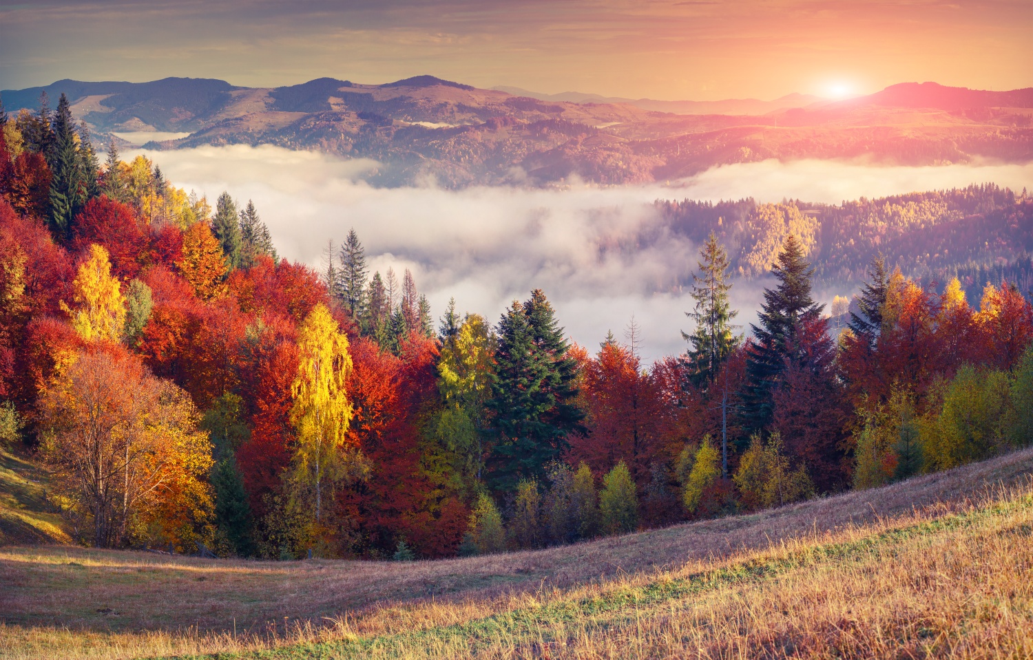 Colorful autumn sunrise in the mountains. - Visit Poland DMC
